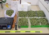La Guardia Civil desmantela en San Javier tres puntos de venta de drogas