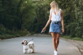 Mascotas en primavera y Semana Santa:c�mo evitar el estr�s ante viajes y planes fuera decasa