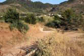 La CHS adjudica por m�s de 6,8 millones de euros las obras de restauraci�n hidrol�gico-forestal en el barranco de Ponce y la rambla de Carrasquilla