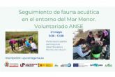 Voluntarios de la UP y ANSE harán seguimiento de la fauna acuática del Mar Menor