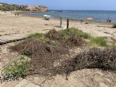 Reverte: 'Es penosa la imagen de las playas este pasado fin de semana'