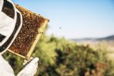 Espa&ntilde;a se sit�a a la cabeza de las mieles europeas reconocidas con calidad diferenciada DOP e IGP