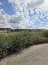 El PSOE exige un Plan de Choque urgente para limpiar los solares abandonados de Molina de Segura