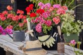 Descubre el mtodo que se utiliza en Murcia para cuidar los geranios en verano