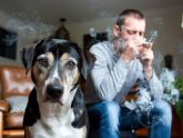 Fumar cerca de tu perro afecta su salud mental y emocional: Cinco tips para proteger a tu mascota del humo