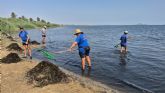 El servicio de retirada de biomasa del Mar Menor, premiado por los vecinos de Los Nietos e Islas Menores