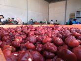 El Gobierno regional destina 400.000 euros para impulsar los Consejos Reguladores de las DOP y el Consejo de Agricultura Ecol�gica