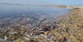 IU-Verdes solicita al Parlamento Europeo revocar la pr�rroga de 2027 para conseguir el buen estado de las aguas del Mar Menor