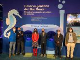 La flora y la fauna del Mar Menor se hacen hueco en el Oceanografic de Valencia con un espacio expositivo permanente