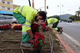 Cartagena se llena de color esta Navidad con 30.000 plantas y decoraci�n sostenible