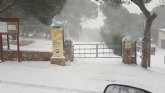 En estos momentos sigue nevando en Sierra Espuña de forma copiosa