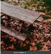 The Son of Wood publica 'Ra�ces', donde explora y celebra la infancia de toda una generaci�n