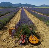 Moratalla lleva a FITUR 2026 la esencia de su lavanda y sus aromáticas como eje de un calendario de experiencias únicas