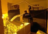 La Guardia Civil desmantela un grupo criminal dedicado al robo en comercios y al cultivo y elaboracin de drogas en La Unin