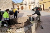 El Ayuntamiento de Pareja planta un nuevo olmo, resistente a la grafiosis, en Cereceda
