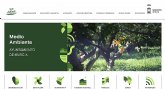 El Servicio de Medioambiente del Ayuntamiento de Murcia lanza su nueva página web