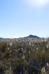 Medio Ambiente propone este fin de semana una ruta guiada a El Carmol�, visitas al CRFS El Valle y una exposici�n sobre murci�lagos