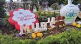 Floristas, arquitectos, artesanos y artistas presentan 45 propuestas de Jardines de Primavera para engalanar Murcia durante las fiestas