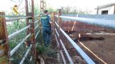 La Guardia Civil investiga al titular de una granja en Murcia por maltrato animal