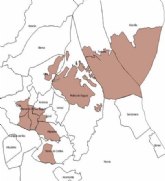 Medio Ambiente activa un plan para frenar los daños a la agricultura y en espacios naturales provocados por la alta proliferacin de conejos