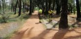 El Palmeral de Santiago y Zaraiche conserva el mtodo de riego tradicional