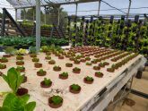 El Gobierno regional fomenta la acuapona como motor de crecimiento y alternativa a la explotacin agrcola tradicional