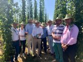 La Comunidad evaluar la viabilidad del cultivo de ocho variedades de lpulo en el Noroeste