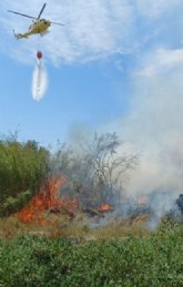 Incendio de vegetacin en Carril Claras - Monteagudo, junto a subestacin elctrica