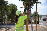 El servicio municipal de Parques y Jardines planta ms de 250 rboles en zonas como Canteras, La Palma, Pozo Estrecho y Miranda
