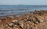 Ecologistas en Acción reclama al Gobierno Regional soluciones en origen para salvar el Mar Menor