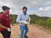 Devuelto a la naturaleza un ejemplar de guila calzada tras ser tratado en el Centro de Recuperacin de la Comunidad Autnoma