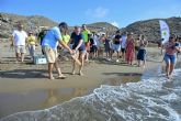 Lorca consolida Calnegre como enclave de referencia para la recuperaci�n de la tortuga boba con la liberaci�n de dos nuevos ejemplares