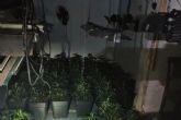 Policía Local de Cartagena halla una plantación de marihuana tras un incendio