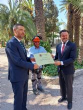 Elche dedica a Caravaca una palmera de su emblemtico Parque Municipal como smbolo de unin entre ambas ciudades