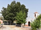 Las actuaciones municipales de conservaci�n permiten que el olmo de La Loma vuelva a llenarse de vida