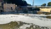 La CHS toma muestras en el ro Segura en Murcia para investigar la aparicin de espuma y peces muertos