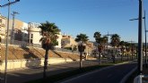 Ciudadanos Alcantarilla denuncia el deficiente estado de mantenimiento del arbolado del municipio