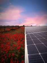 UNEF presenta los 10 motivos por los que la Energ�a Solar protege la naturaleza