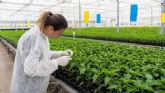 Semilleros Forum abordar� en El Ejido los retos de la sanidad vegetal, la automatizaci�n y la calidad de la planta hort�cola