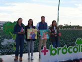 La produccin de brcoli en la Regin crece un 21 por ciento en la actual campaña frente a 2023