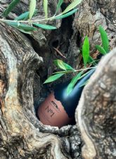 Venta del Puerto N°1, el nuevo AOVE Ecolgico Valenciano de Cooperativa La Viña