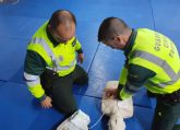 La Guardia Civil forma a 250 agentes en materia de soporte vital bsico y uso del desfibrilador externo semiautomtico