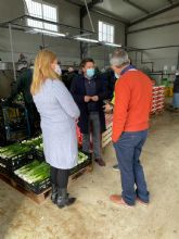 La Comunidad apuesta por un proyecto de produccin de cebolleta fresca de calidad sin conservantes y lista para el consumo