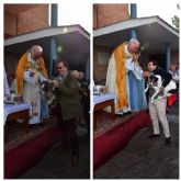 Misa y Bendicin en Pio XII: Un Encuentro Especial con San Antn y sus 'Fieles'en Sevilla