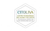 Citoliva revalida en 2019 el liderazgo de la provincia en materia de financiaci�n europea a la I+D+i