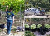 La Guardia Civil esclarece una quincena de robos de uva de mesa de fincas agrcolas del Bajo Guadalentn