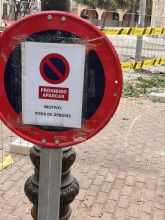 MC: La arboricida N. Arroyo (PP) la ´toma´ con el arbolado de Cartagena