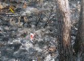 La Guardia Civil esclarece la causa de los incendios que calcinaron cuatro hectáreas de masa forestal