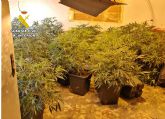 La Guardia Civil desmantela un grupo criminal dedicado a cometer atracos y al cultivo ilcito de marihuana