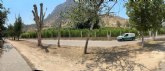 Trabajos de mejora del Paseo Ribere�o como parte de las actuaciones incluidas en el proyecto de mejora del Segura a su paso por Cieza